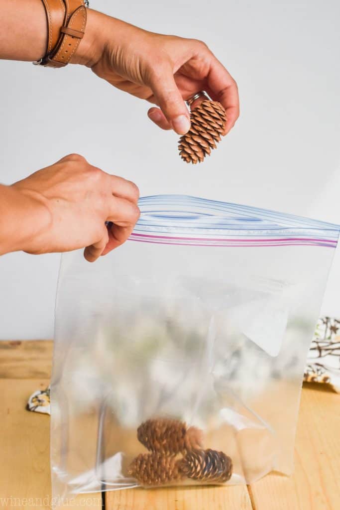 putting pine cones into a bag to show how to make cinnamon scented pine cones