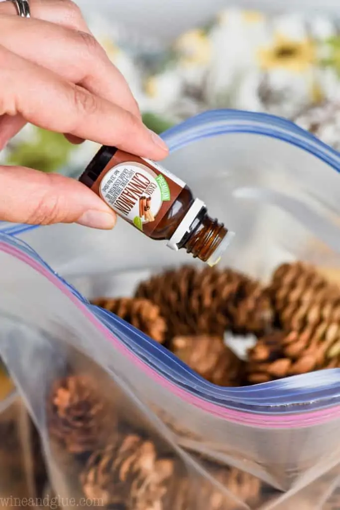 adding cinnamon oil to pine cones 