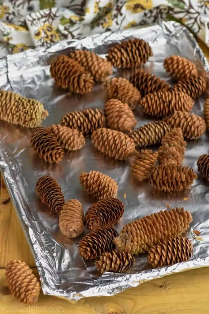 pine cones placed on a tray to bake