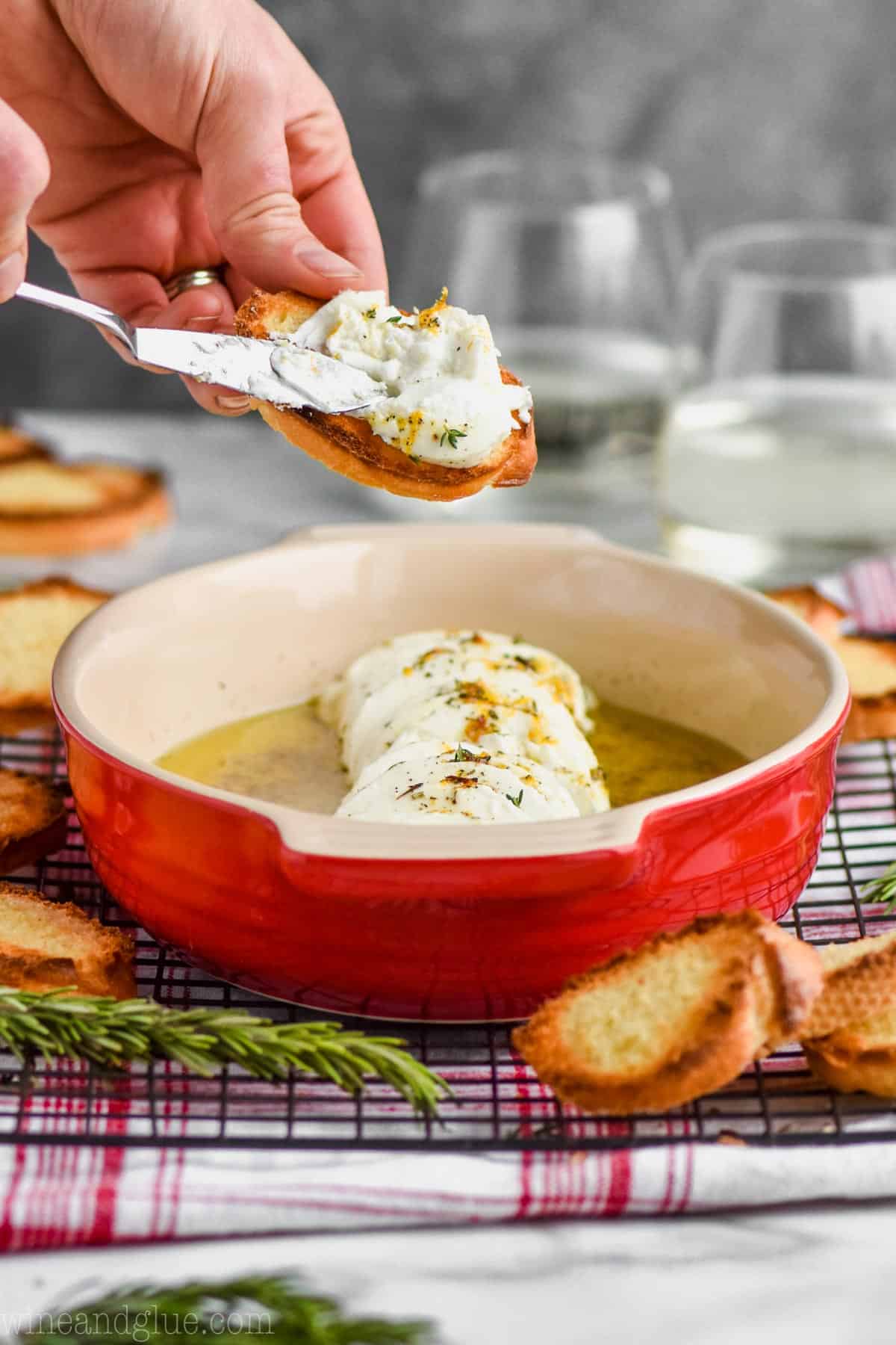 Goat Cheese Appetizer Simple Joy