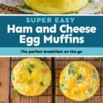 collage of photos of ham and cheese egg muffins