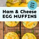 collage of photos of ham and cheese egg muffins