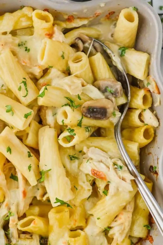 close up view of cheesy chicken noodle casserole recipe with parsley topping the dish