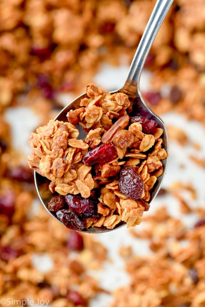 a spoonful of homemade granola