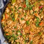 overhead view of peanut butter stir fry noodles in a large skillet, topped with fresh cilantro and chopped peanuts - 10