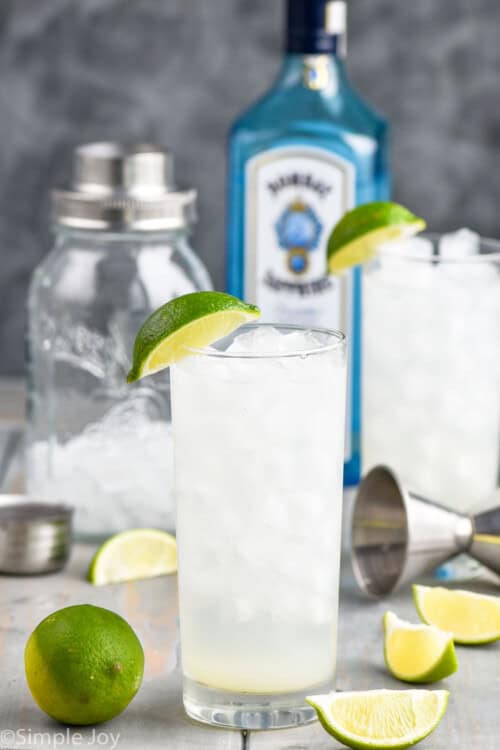 Gin Rickey Recipe (Low Calorie!) Simple Joy