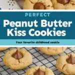 collage of photos of peanut butter blossoms