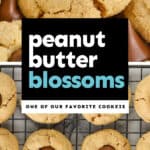collage of photos of peanut butter blossoms