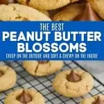 collage of photos of peanut butter blossoms