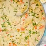 overhead view of a teal stock pot full of creamy chicken noodle soup garnished with parsley, with a ladle in it, crackers around the pot