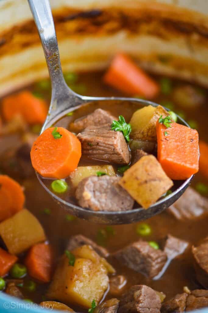 ladle holding beef stew recipe