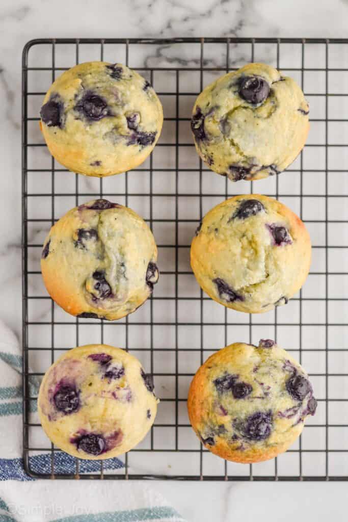 overhead of 6 healthy blueberry muffins on a wire cooling rack