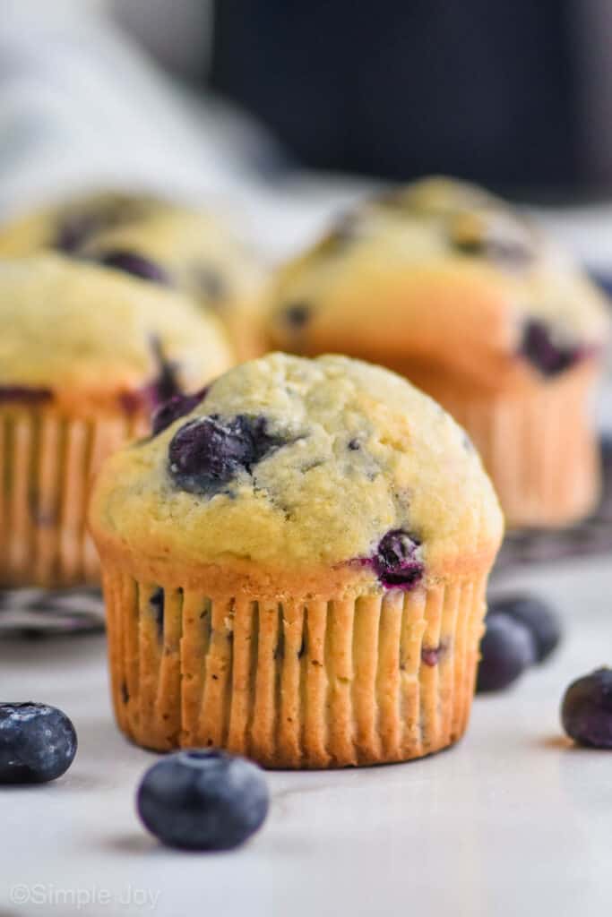 a healthy blueberry muffin sitting on a countertop with blueberries around it
