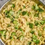 close up overhead view of broccoli pasta recipe made with shells, broccoli florets, red pepper flakes and freshly grated parmesan cheese