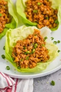 close up of a chicken lettuce wrap garnished with fresh diced green onions on a white plate