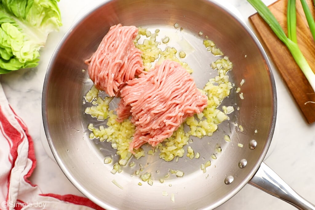 ground chicken in a skillet with onions and garlic - 3