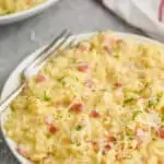 a small plate with instant pot risotto on it garnished with parsley and fresh parmesan