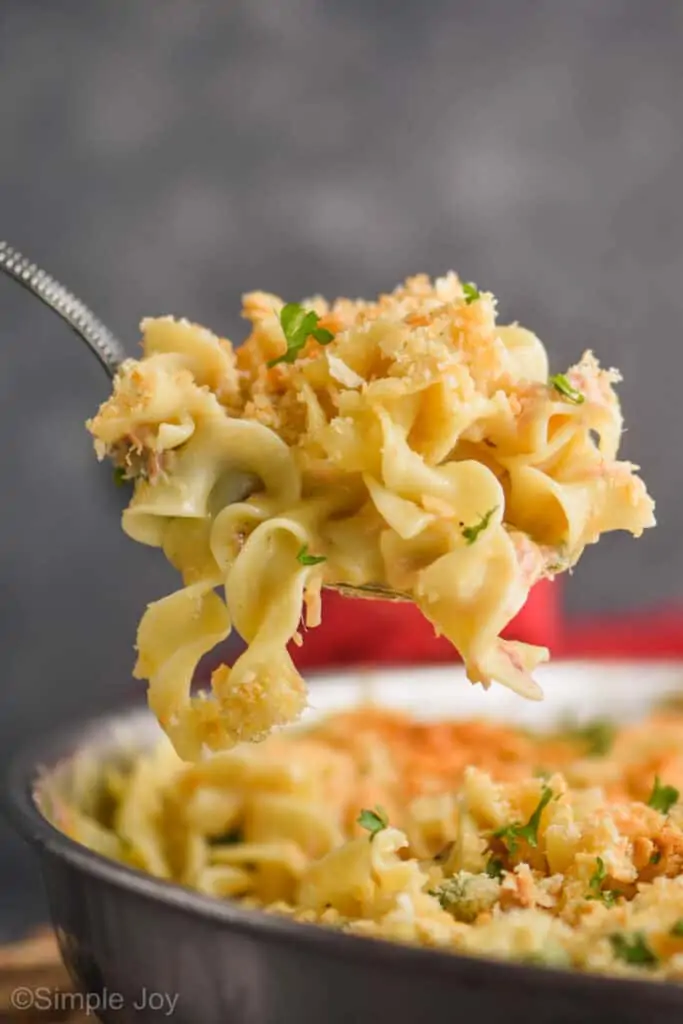 a spoonful of tuna noodle casserole recipe being dished up