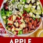 pinterest image for apple pecan salad