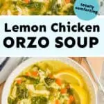 pinterest graphic of lemon chicken orzo soup