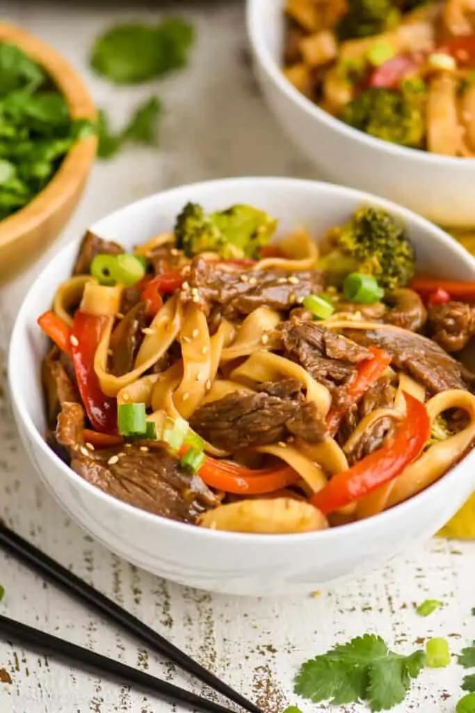 a bowl of lo mein garnished with green onions and sesame seeds