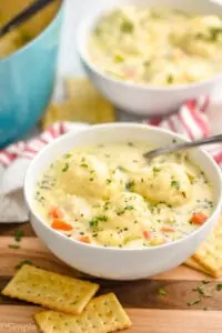 small white bowl full of chicken and dumplings garnished with fresh parsley