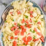 overhead view of a platter of chicken Alfredo casserole garnished with parsley and diced tomatoes