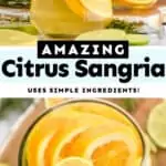 collage of photos of citrus sangria