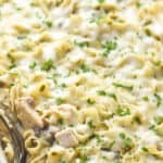 a casserole dish full of turkey tetrazzini recipe