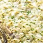 a casserole dish full of turkey tetrazzini recipe