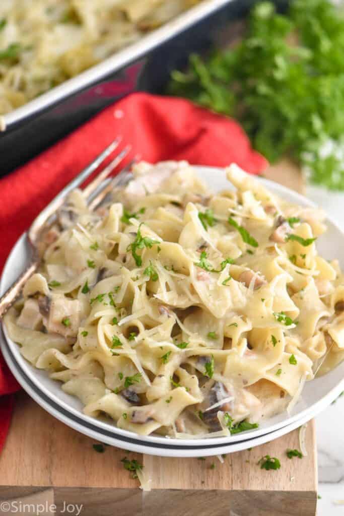 a plateful of turkey tetrazzini recipe garnished with more parmesan cheese and fresh parsley