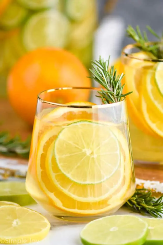 small glass with sangria recipe, slices of citrus fruit and a rosemary sprig in the glass