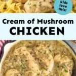 collage of photos of cream of mushroom chicken