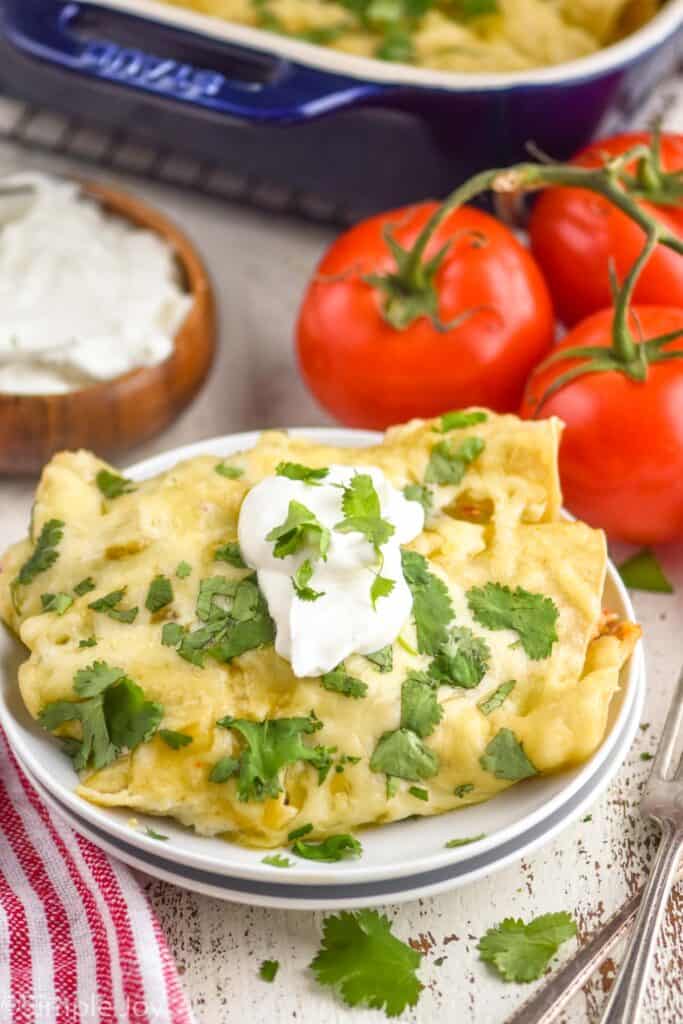 plate of green chili enchiladas topped with cilantro and sour cream