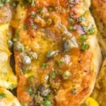 close up picture of a chicken piccata cutlet