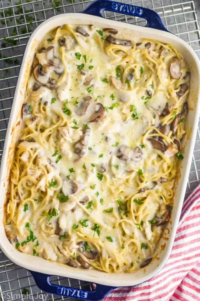 overhead view of a casserole dish full of chicken tetrazzini