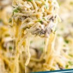 pinterest graphic showing a spoonful of chicken tetrazzini being dished up, says: chicken tetrazzini simplejoy.com