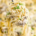 chicken tetrazzini being served up with a scoop, creamy noodles dangling down