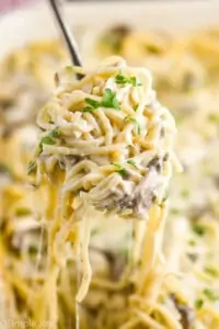 chicken tetrazzini being served up with a scoop, creamy noodles dangling down