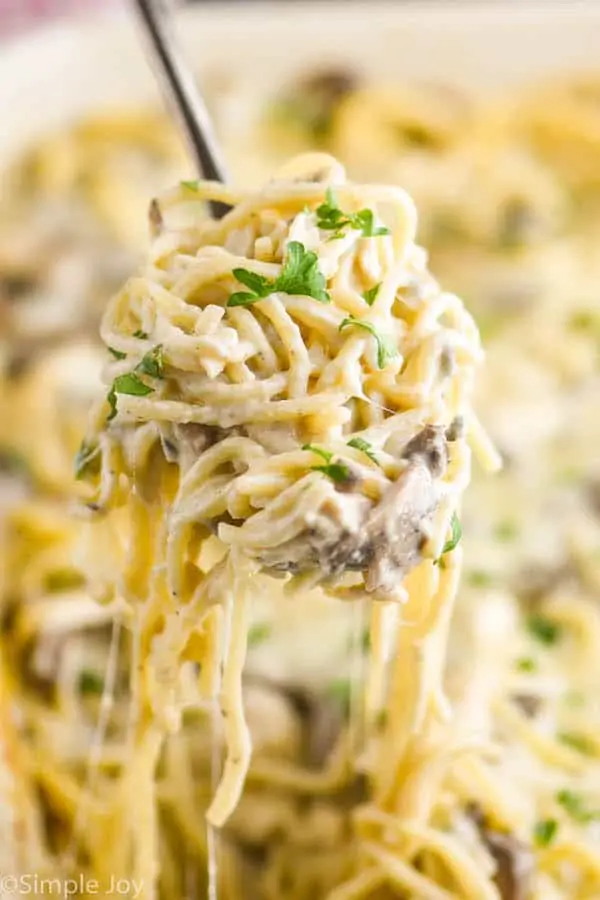 chicken tetrazzini being served up with a scoop, creamy noodles dangling down