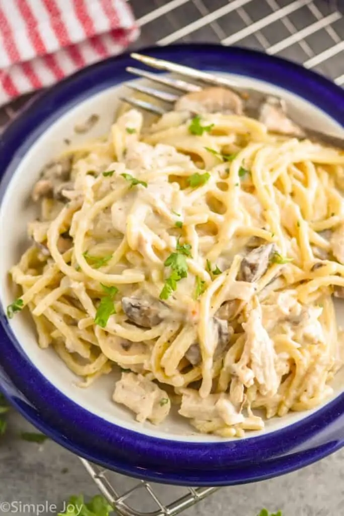 overhead view of a plate of chicken tetrazzini made with spaghetti and garnished with parsley