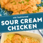 pinterest graphic of sour cream chicken