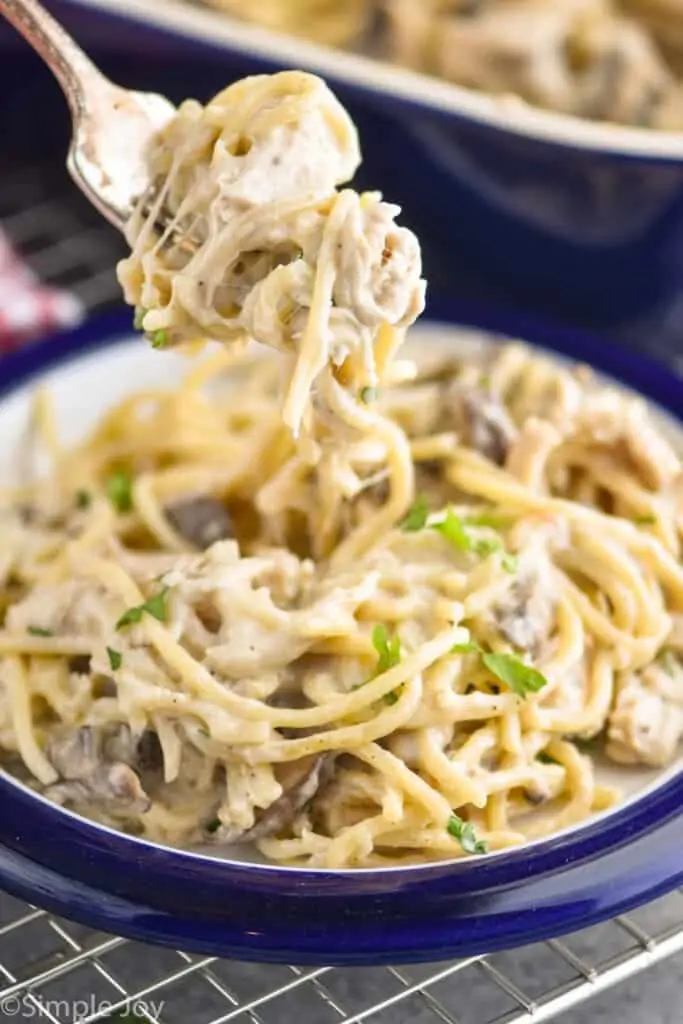 a fork dishing up a bite of chicken tetrazzini recipe