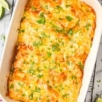 overhead view of a baking dish full of chicken enchiladas garnished with cilantro - 14