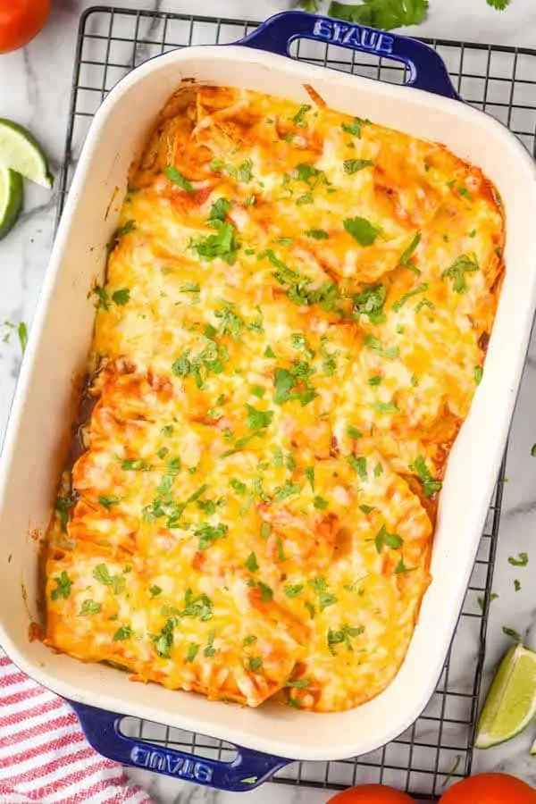 overhead view of a baking dish full of chicken enchiladas garnished with cilantro