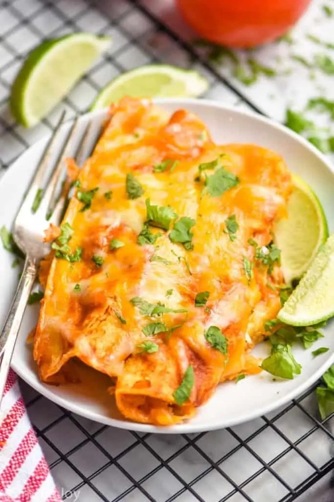 two chicken enchiladas on a plate topped with fresh cilantro