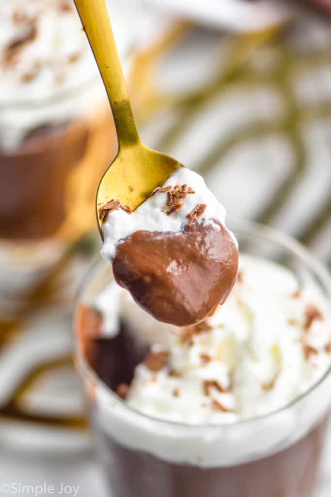 up close spoonful of chocolate pudding