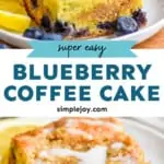 Blueberry Coffee Cake - 3