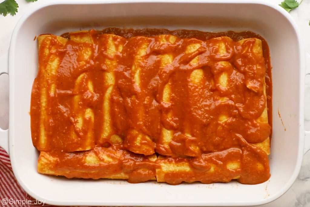 Chicken Enchilada Recipe - 9