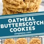 Pinterest graphic of oatmeal scotchies